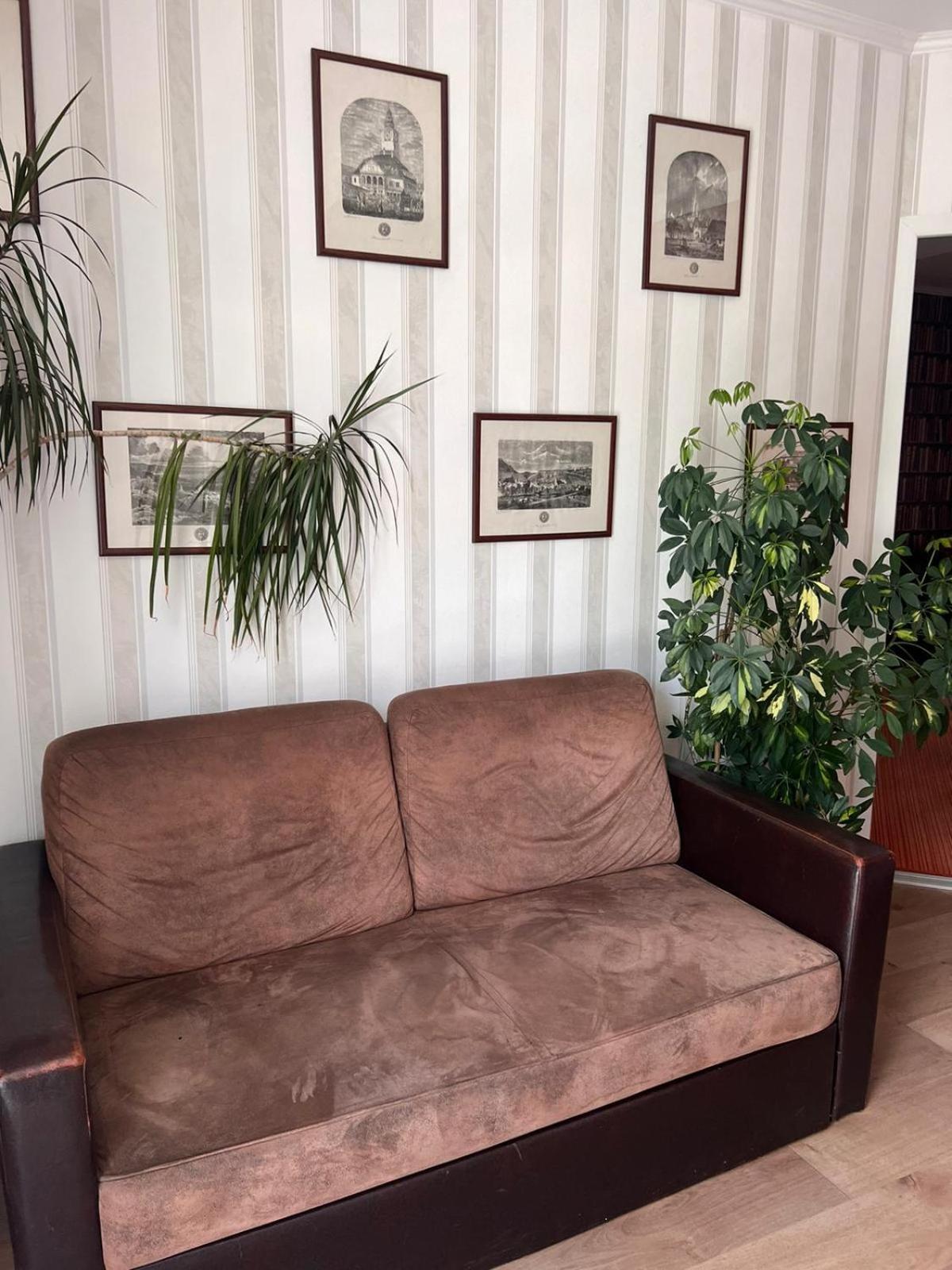 Pension Old City Brasov Bagian luar foto