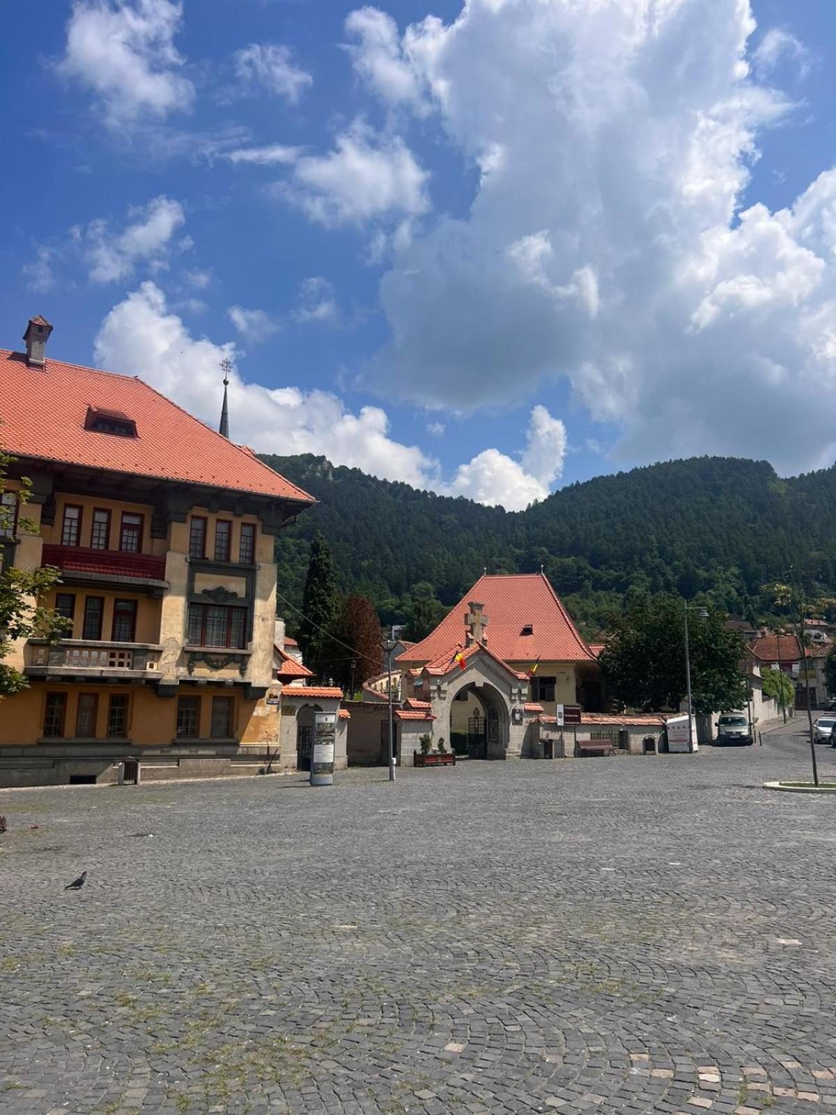 Pension Old City Brasov Bagian luar foto